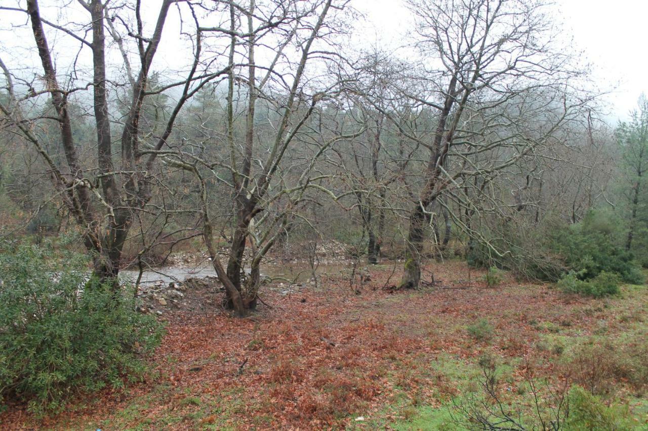 Pili Country House المظهر الخارجي الصورة