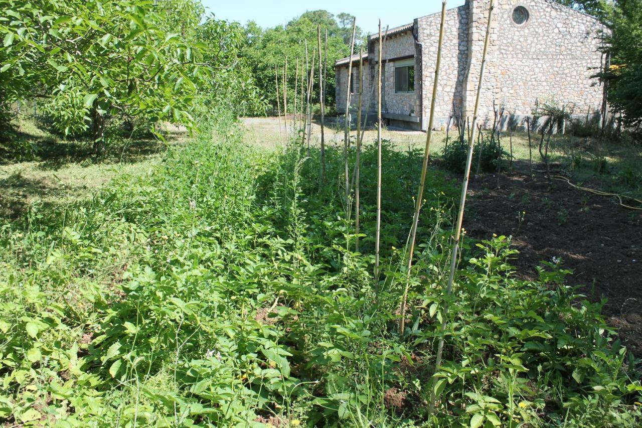 Pili Country House المظهر الخارجي الصورة