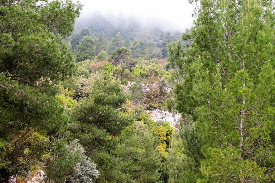Pili Country House المظهر الخارجي الصورة